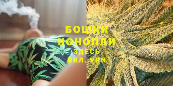 ешки Гусь-Хрустальный
