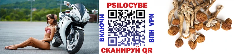 Галлюциногенные грибы ЛСД  Купить закладки  Новоалександровск 
